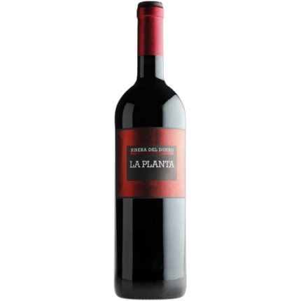 Vino La Planta