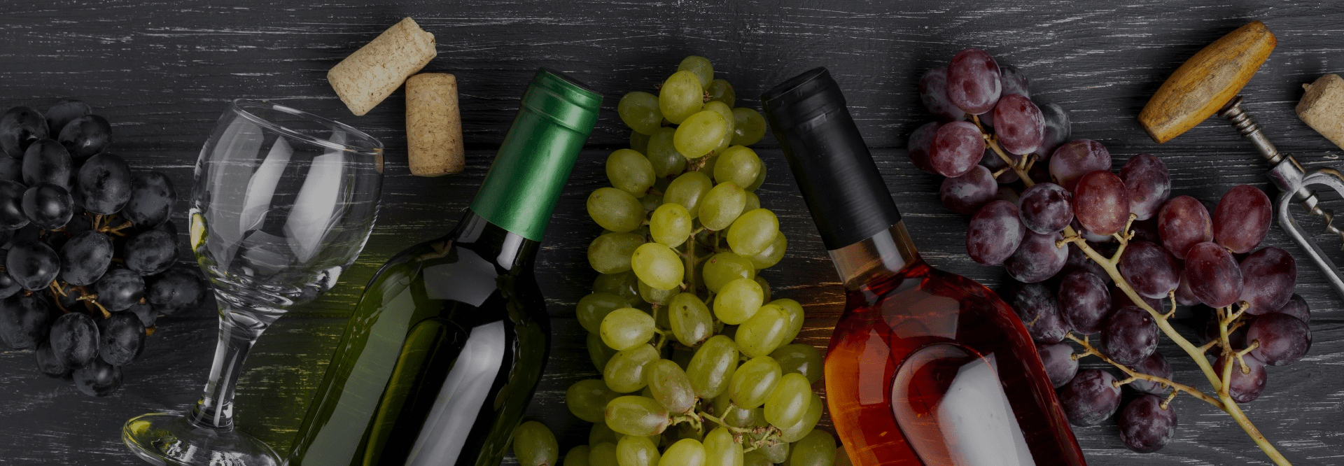 banner vinos uvas
